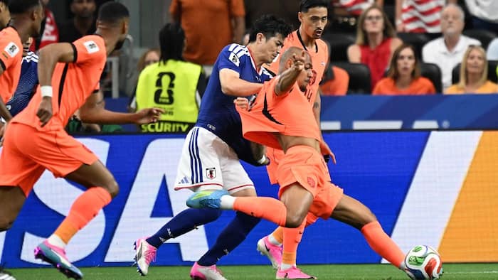 netherland vs sweden preview