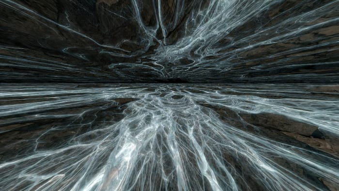 Network of arbuscular mycorrhizal fungi
