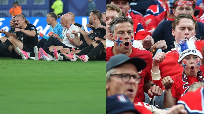 Watch: Marting Odegaard and Erling Haaland lead as Norway perform 'Viking Rowing' celebration after win against Senegal