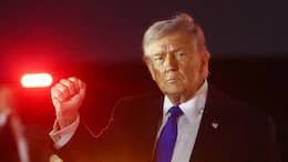 Donald Trump slams Italian PM Giorgia Meloni, NATO for Inaction on Iran’s nuclear programme