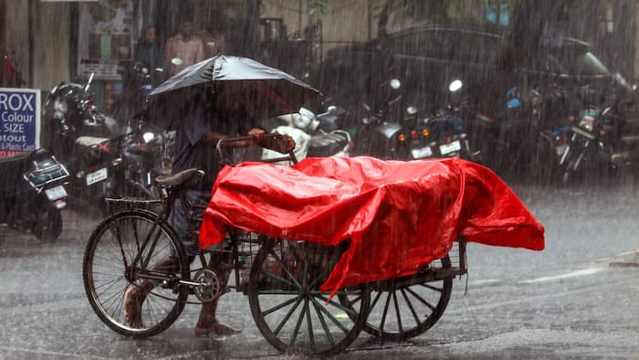 Tamil Nadu Rain Alert Today: Heavy rain, thunderstorms and gusty winds likely in Theni, Kanyakumari, Tirunelveli; Check weather forecast till June 15