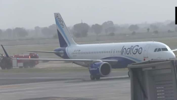 Watch: First flight lands at Noida International Airport in Jewar as commercial flight operations commence