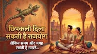 Vastu Signs: छिपकली दिला सकती है राजयोग, दीवार पर रेंगते हुए दिखे तो तुरंत करें ये काम