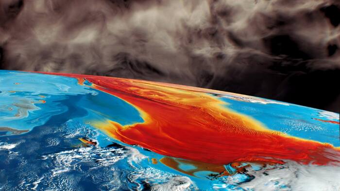 Warm water current