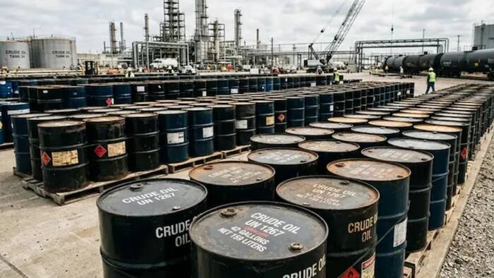 Hydrocarbon resources