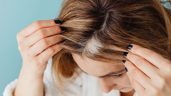 Mango seed hair mask for grey hair