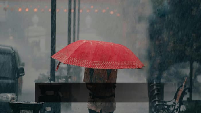 Monsoon Tracker