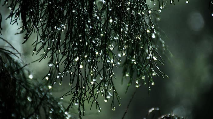 Delhi mai kab hogi barish