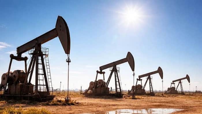 Hydrocarbon resources