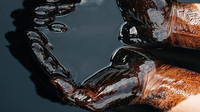 Crude Oil