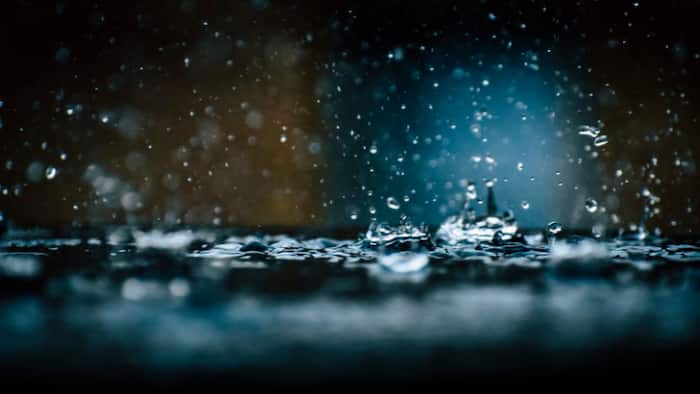 UP Ka Mausam