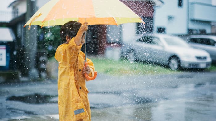 Monsoon Tracker 2026 news