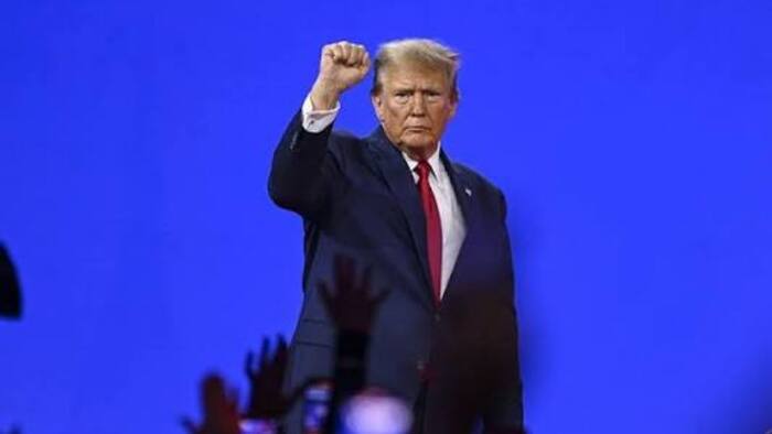 Donald trump networth