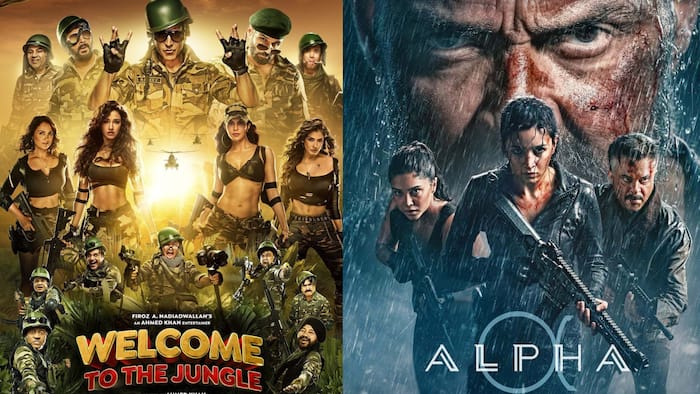 Welcome to the Jungle box office collection day 7: Can Akshay Kumar, Sunil Shetty's multi starrer hold its ground against Alia Bhatt-Sharvari's Alpha?