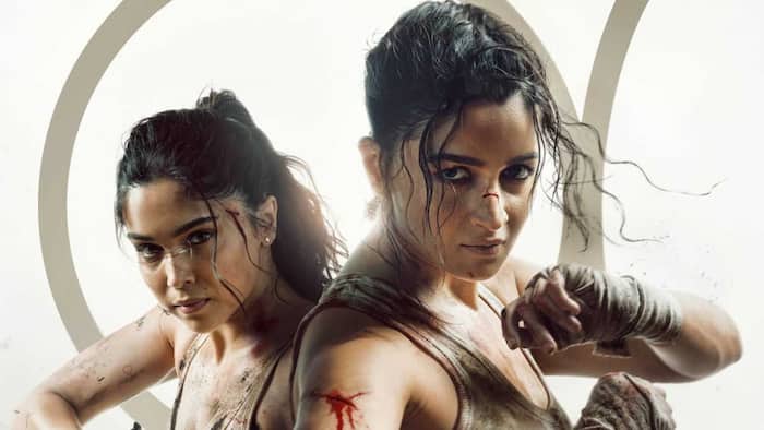 Alpha box office collection Day 1: Alia Bhatt and Sharvari's spy thriller records YRF Spy Universe's lowest opening, earns Rs...