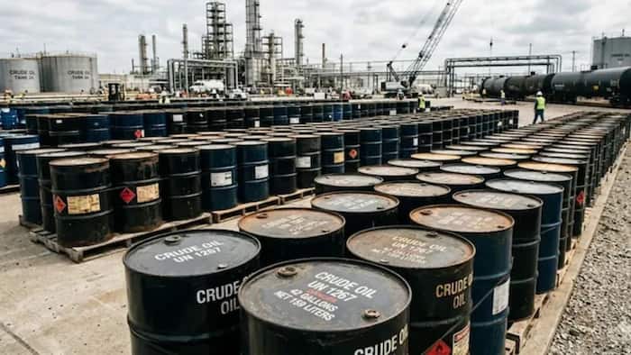 Crude Oil  13