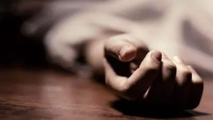 Retired army officer's wife found dead after confronting maid over missing jewellery in Panchkula, CCTV captures chilling moments