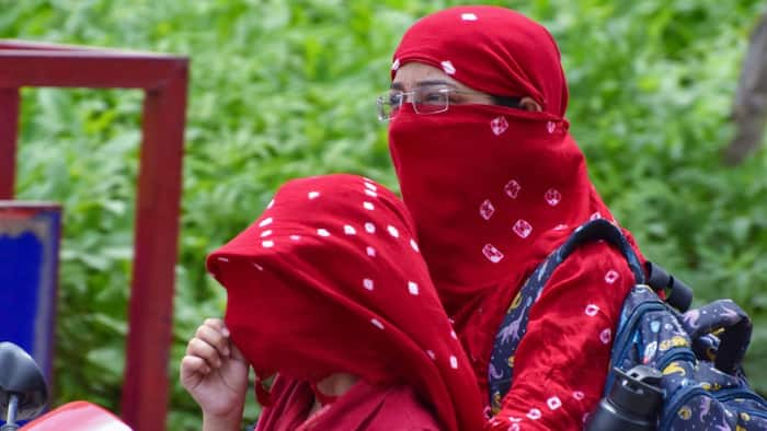 Delhi Heat Index peaks at 48°C: What is the scientific reason behind capital’s oppressive 'sultry' July heatwave | Explained