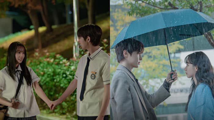 Dream to You episode 1: When and where to stream Hwang In-youp and Lee Hye-ri's romantic K-drama on OTT