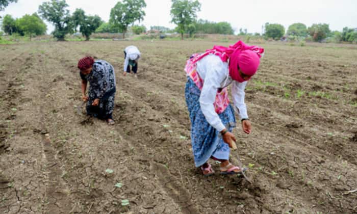 PMO reviews El Niño impact on India, urges centre-state synergy on preparedness