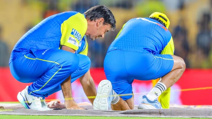 Stephen Fleming
