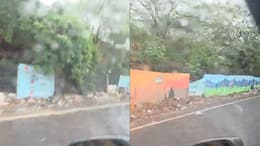 Who throws trash like this?: Sabeer Bhatia highlights garbage issue on Gurugram road | Viral