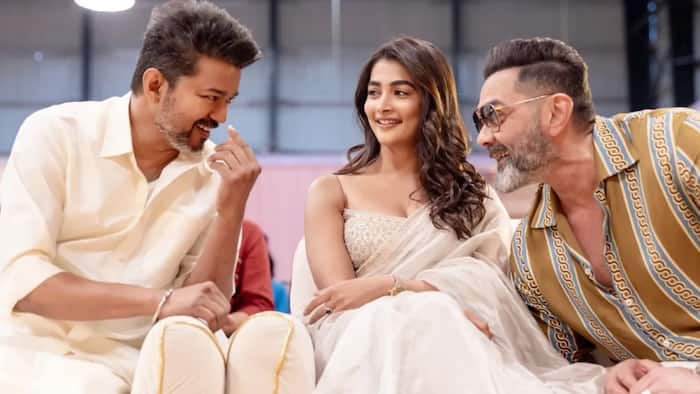 Jana Nayagan cast fees: How much did Vijay, Bobby Deol, Pooja Hegde and director earn for the film?