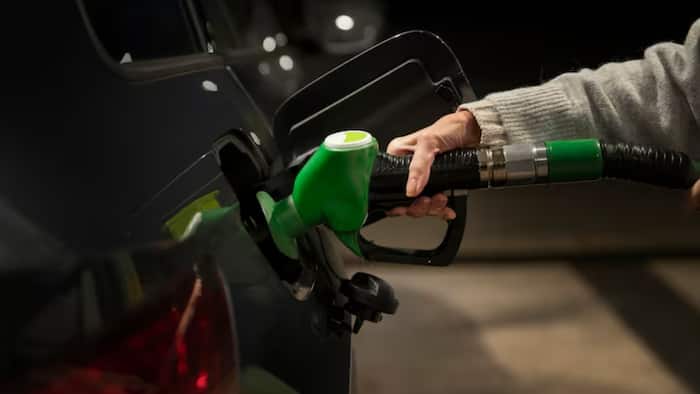 Methanol friendly vehicles