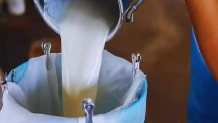 Worried about milk adulteration? Check its quality at home with these simple tests