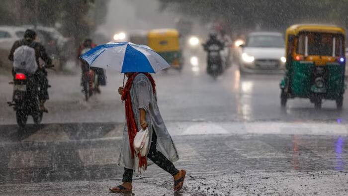 Monsoon  7