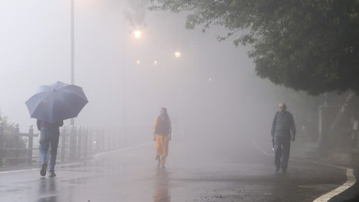 Maharashtra Monsoon Latest Update: Mumbai, Pune, Nashik, Nagpur, Satara, Palghar likely to see heavy downpour, IMD issues statement
