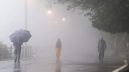 Maharashtra Monsoon Update: Mumbai, Thane, Pune, Nagpur, Satara, Nashik, Ratnagiri to witness rains today? IMD issues statement