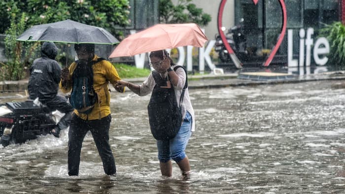 Monsoon in India Live: Kerala, Maharashtra, Punjab, Haryana likely to witness heavy downpours today; IMD issues alert, says...