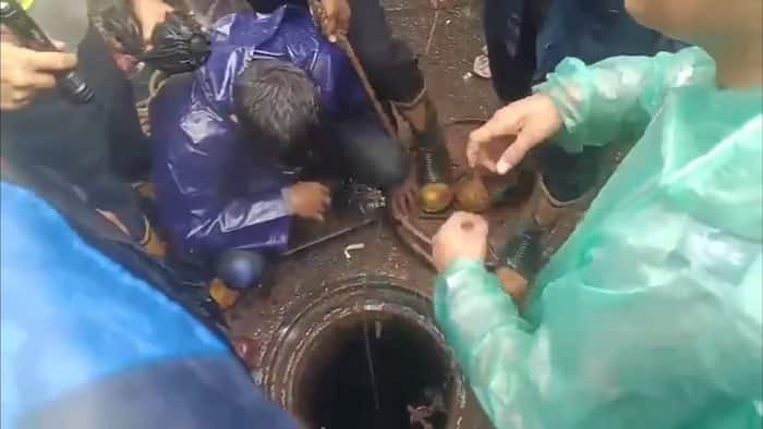 Man dies after falling into manhole amid heavy rains in Mumbai, Maharashtra Speaker calls it 'culpable homicide'
