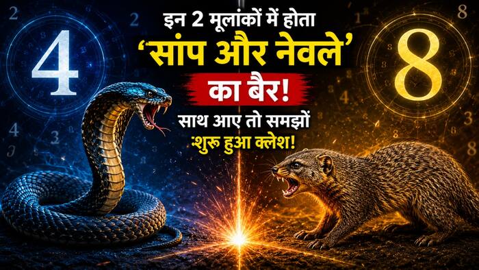 NUMEROLOGY   2026 07 15T160921 651