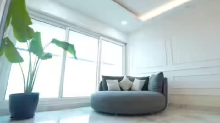 Nikki Tamboli Home pic
