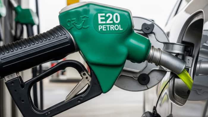 Govt clears air on E20 petrol, says older vehicles may lose up to 5% mileage, but no widespread engine damage