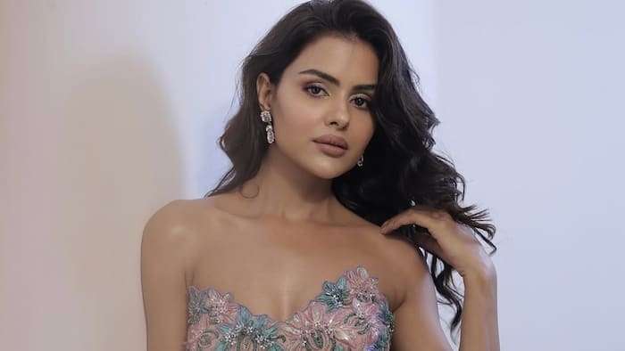 Priyanka Chahar Choudhary opens up about exhausting 36-hour work schedule while working on Naagin 7 and Battleground: 'I survived on...'
