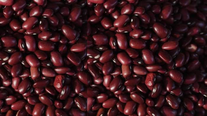 Rajma