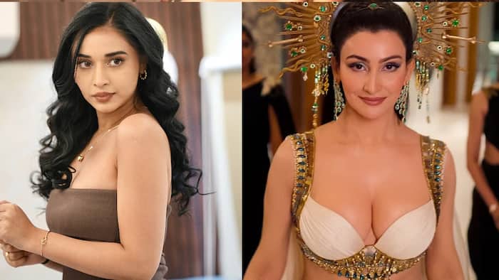 Tanya Mittal gives it back to media platform for calling her a 'sasti copy' of Shalini Passi: 'I am not...'