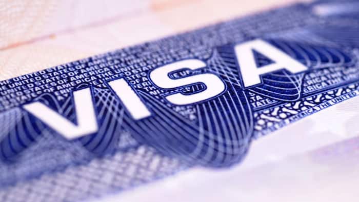 South Korea Digital Nomad Visa Benefits