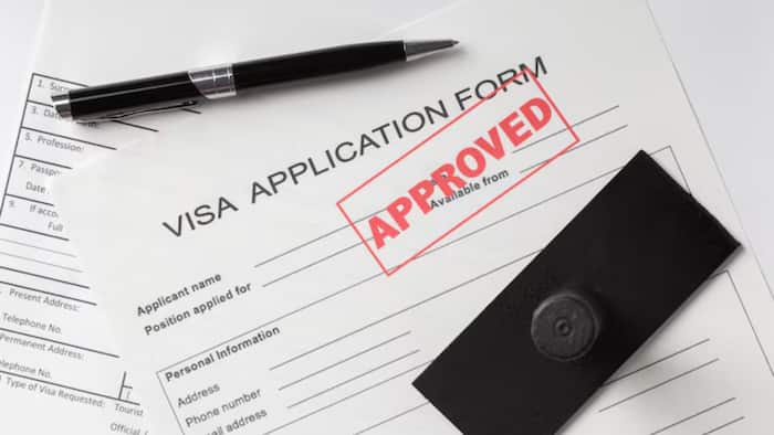 South Korea Digital Nomad Visa Rules