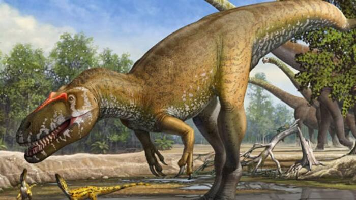 Tyrannosaurus rex auction hindi
