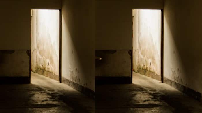 Wall Dampness