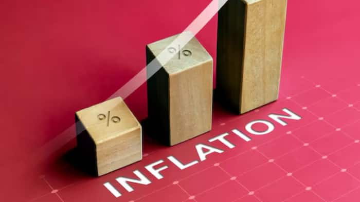 Wholesale Inflation reason