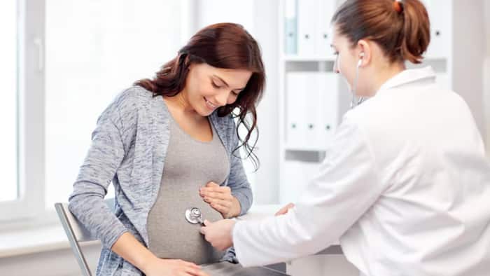 World Hepatitis Day 2026: Why Hepatitis B screening during pregnancy is important, expert explains