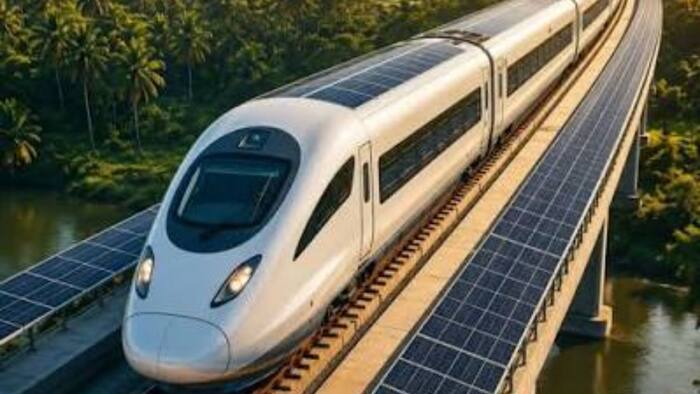 Bullet train  13