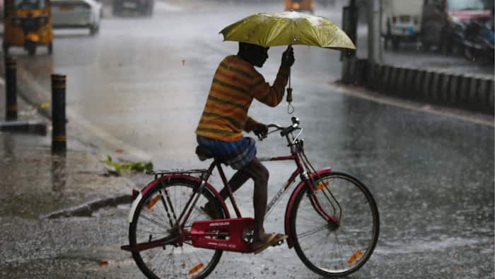 delhi weather
