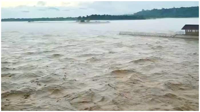 ganga water level