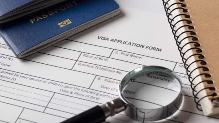 How to apply for South Korea Digital Nomad Visa